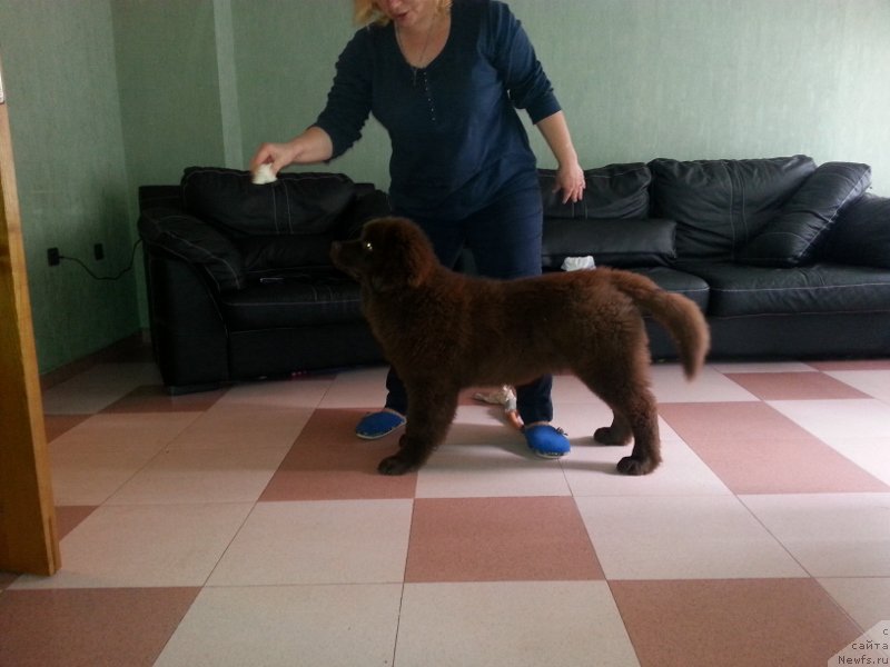 Фото: Екатерина Станкевич