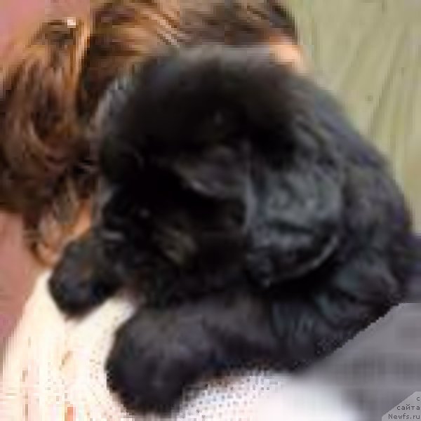 Фотография № 168224