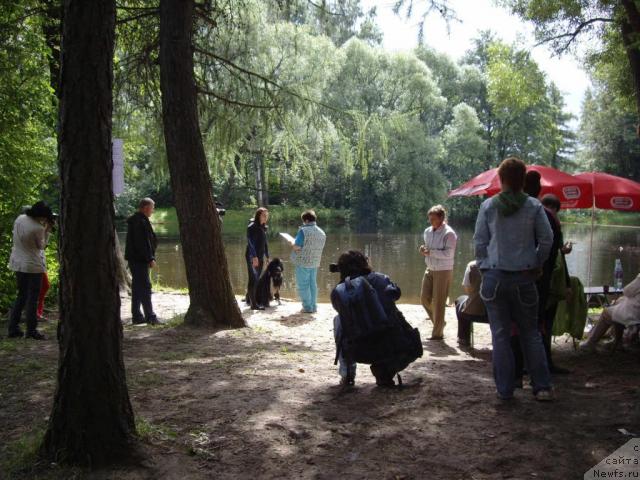 Фотография № 16824