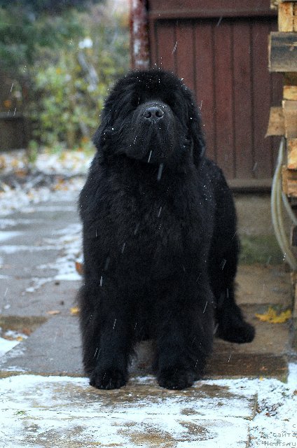 Фотография № 168244