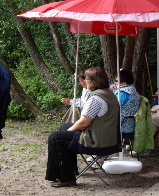 Фотография № 16826