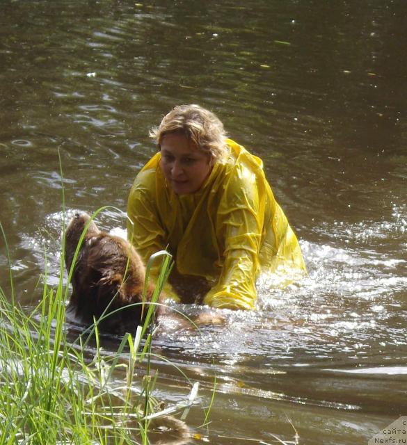 Фотография № 16827