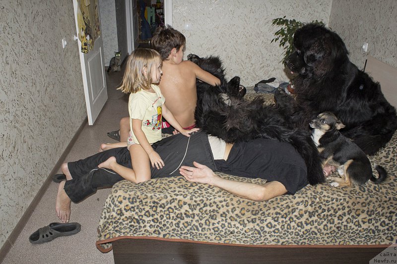 Фотография № 168270