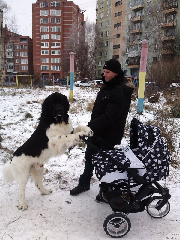 Фотография № 168272