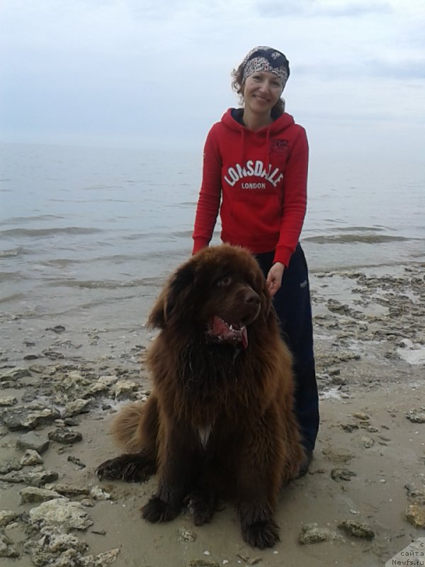 Фотография № 168274