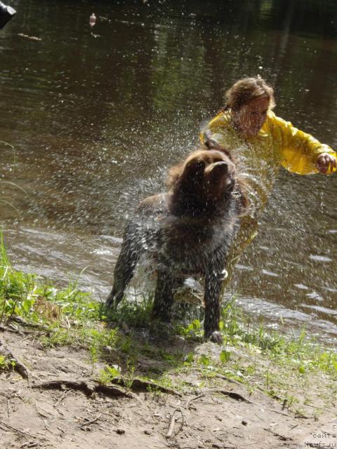 Фотография № 16828