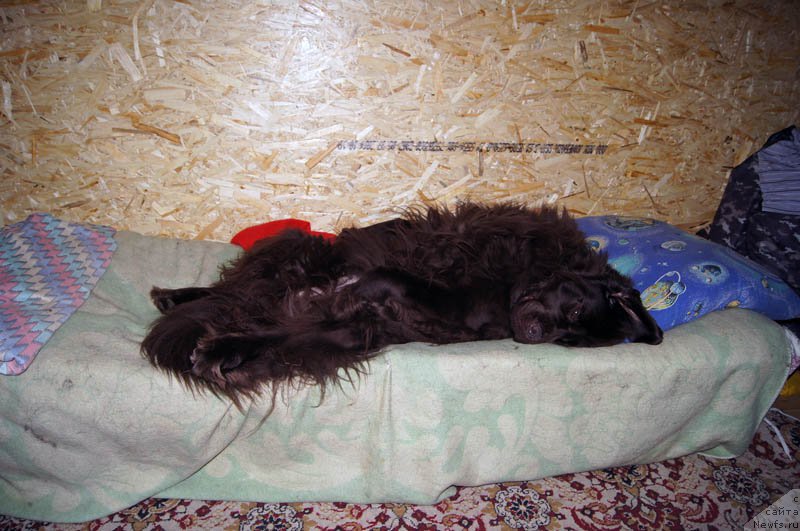 Фотография № 168283