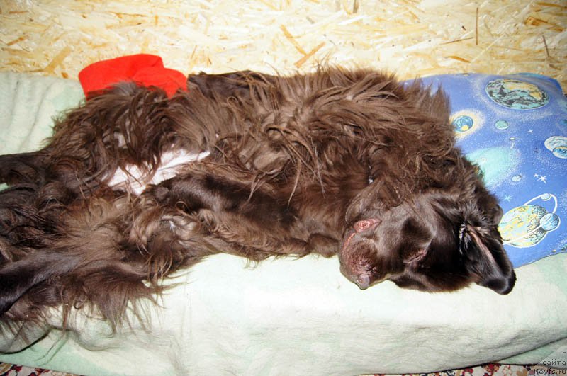 Фотография № 168284