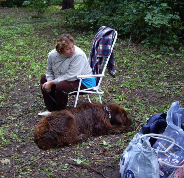 Фотография № 16830