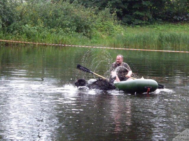 Фотография № 16832