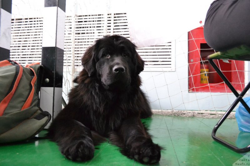 Фотография № 168321