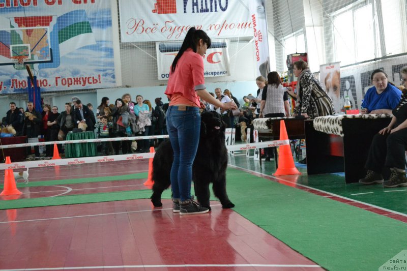 Фотография № 168328