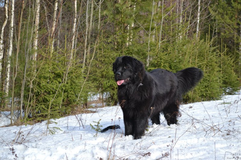 Фотография № 168329