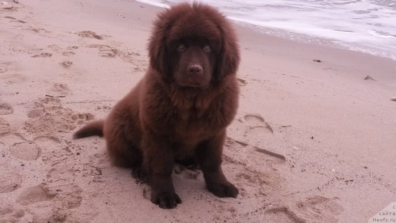 Фотография № 168331