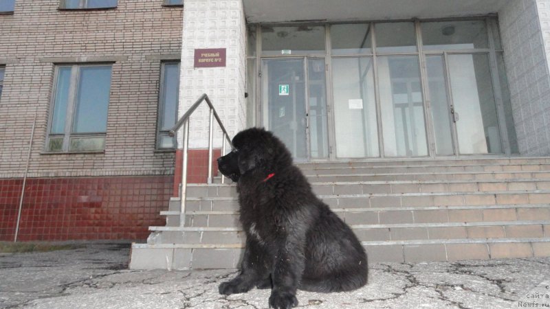 Фотография № 168342