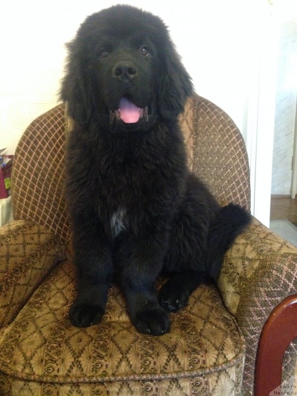 Фотография № 168345