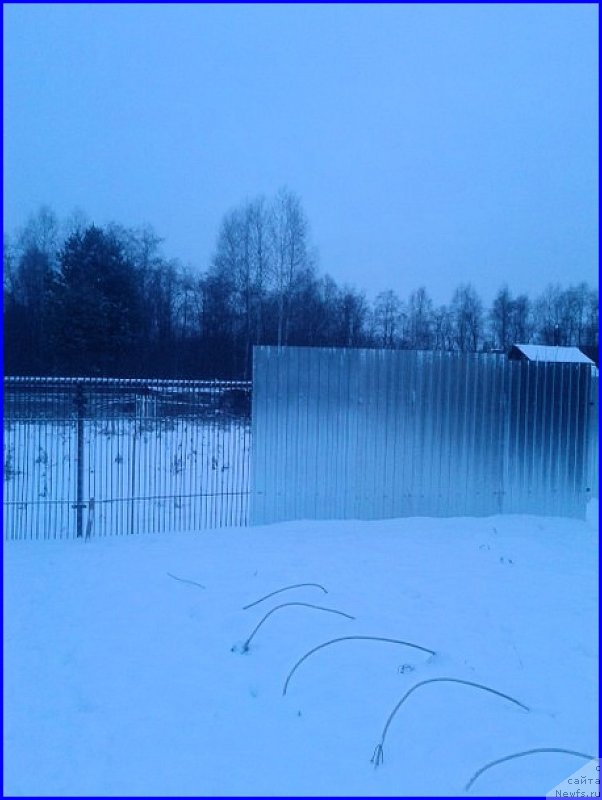 Фотография № 168359