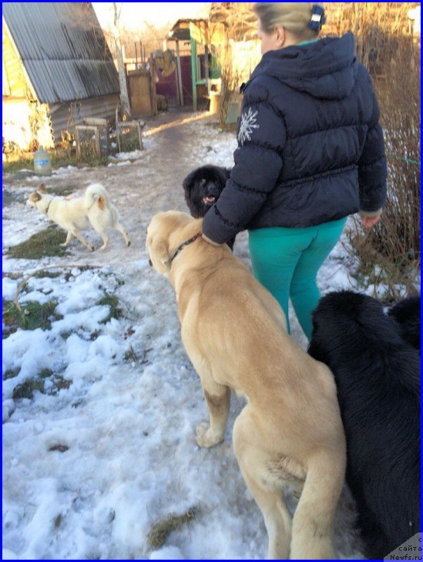 Фотография № 168364