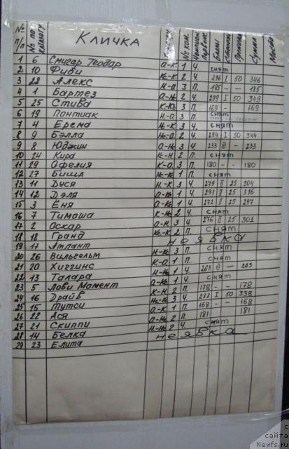 Фотография № 16837