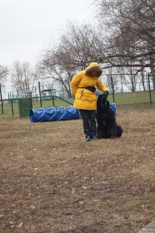 Фотография № 168377