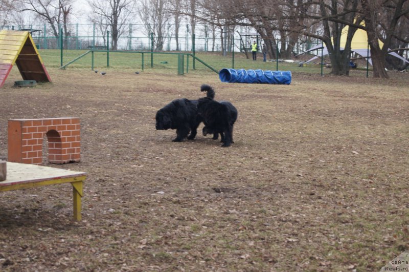 Фотография № 168379