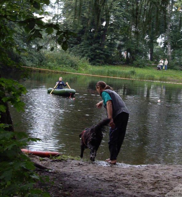 Фотография № 16838