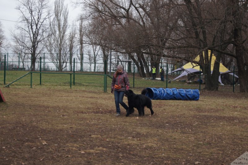 Фотография № 168380