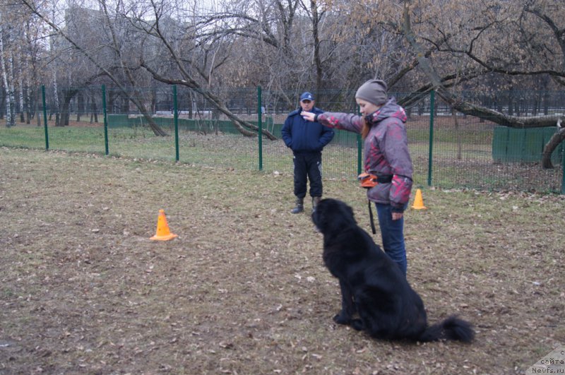 Фотография № 168384