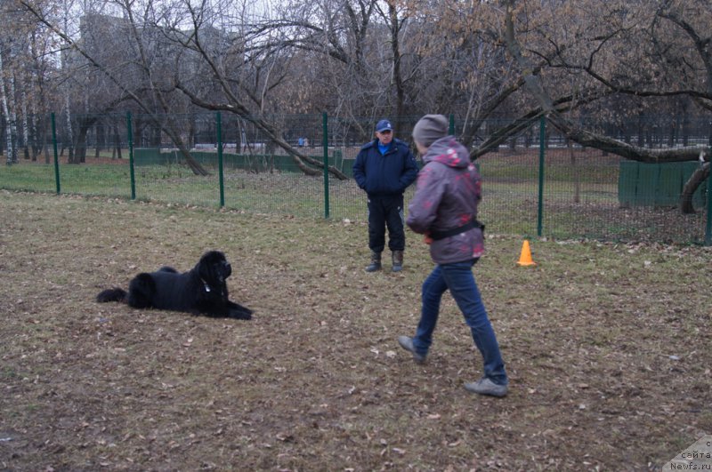 Фотография № 168385