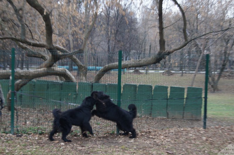 Фотография № 168386