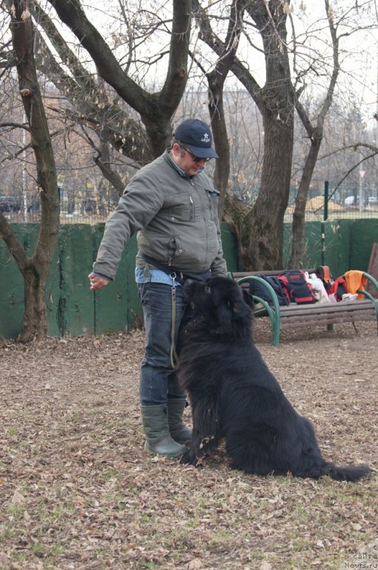 Фотография № 168395