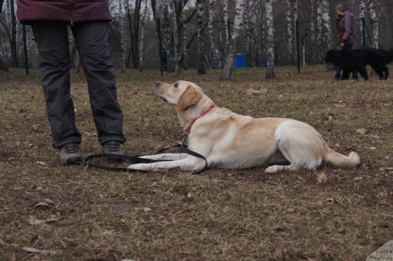 Фотография № 168396