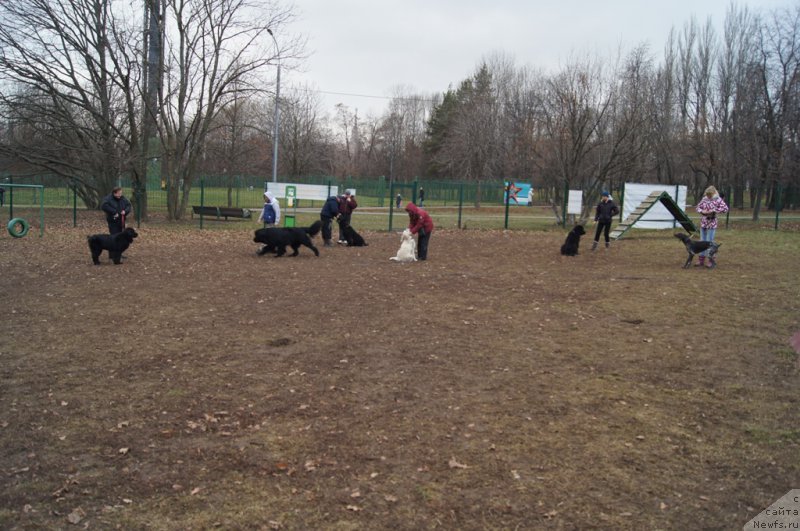 Фотография № 168397