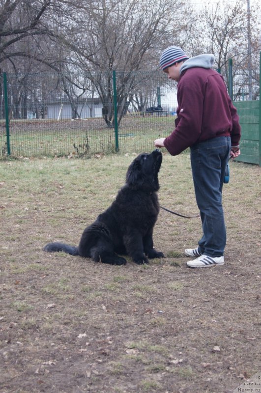 Фотография № 168399