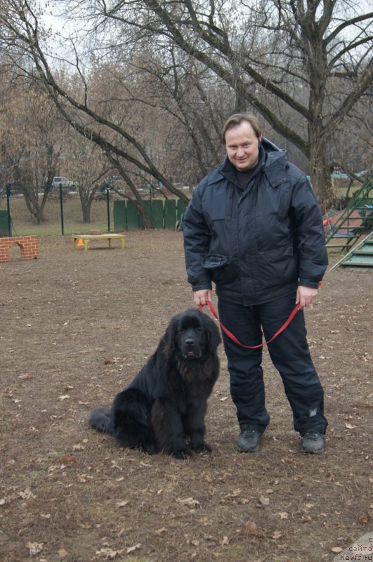 Фотография № 168402