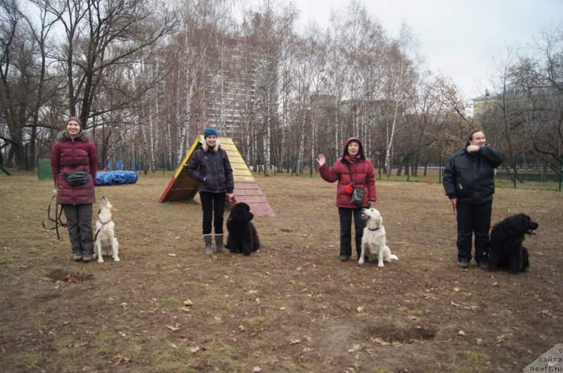 Фотография № 168406