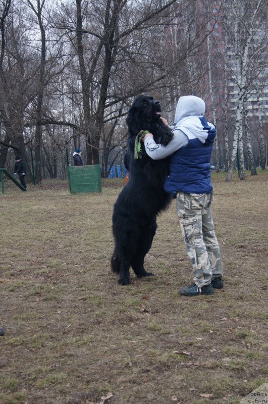 Фотография № 168407