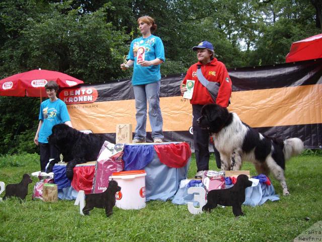 Фотография № 16841