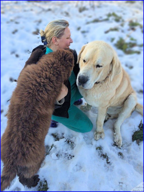 Фотография № 168413