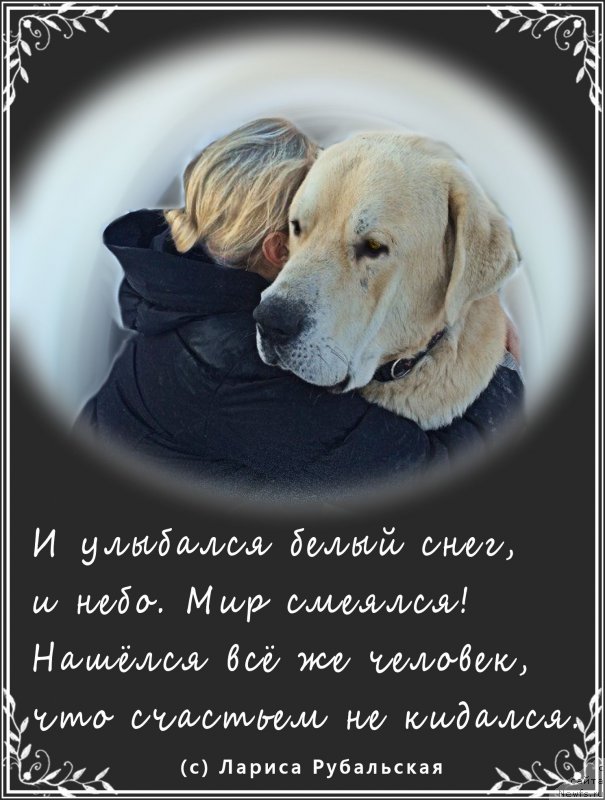 Фото: Лена Зырина, ФРАНКО