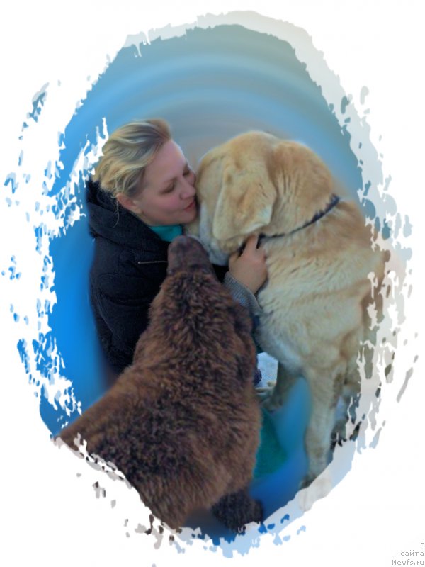 Фотография № 168421