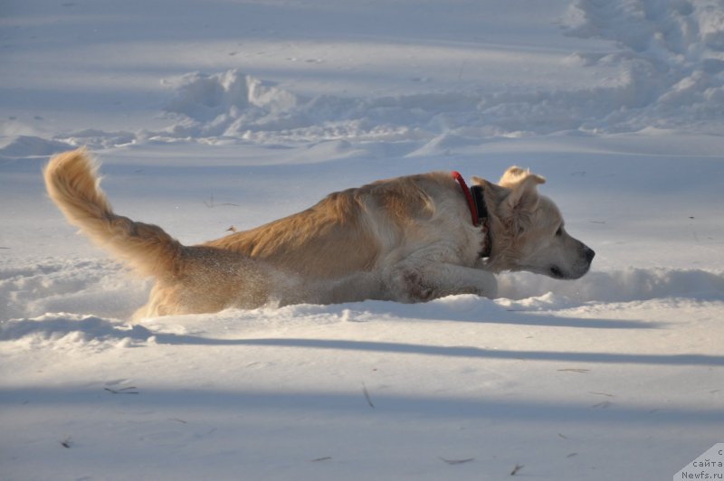 Фотография № 168422