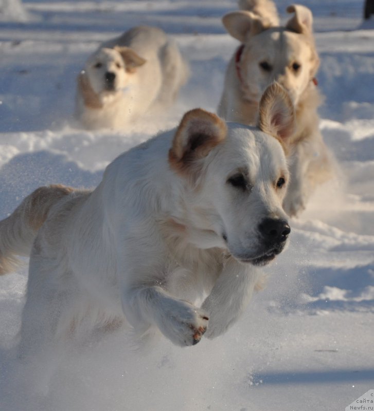 Фотография № 168423