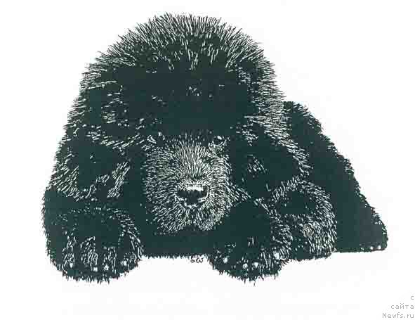 Фотография № 168428