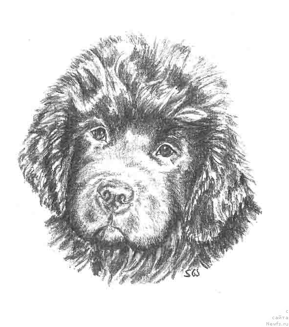 Фотография № 168429