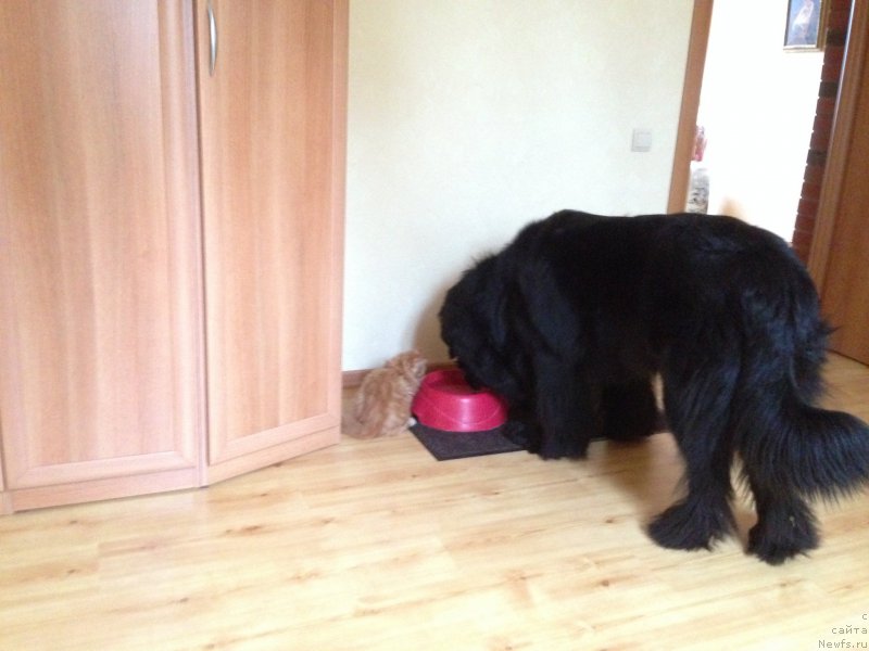 Фото: [d10168] и Куня