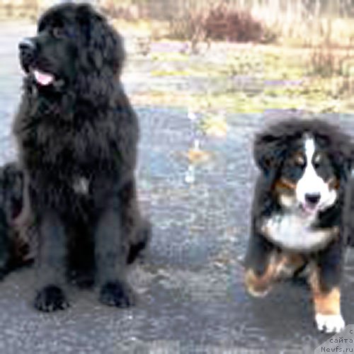 Фотография № 168433