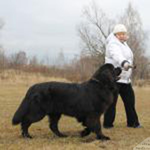 Фотография № 168435