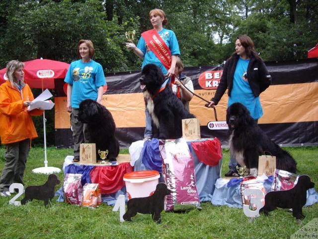 Фотография № 16844