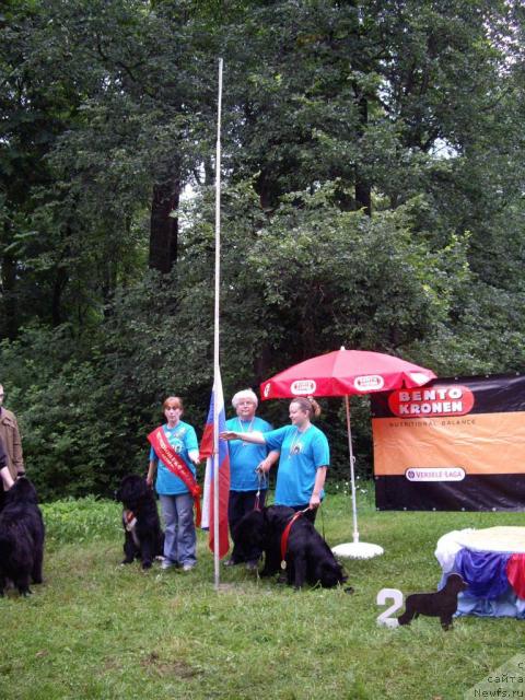 Фотография № 16847